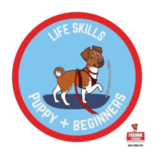 Puppy and Beginners Life skills 