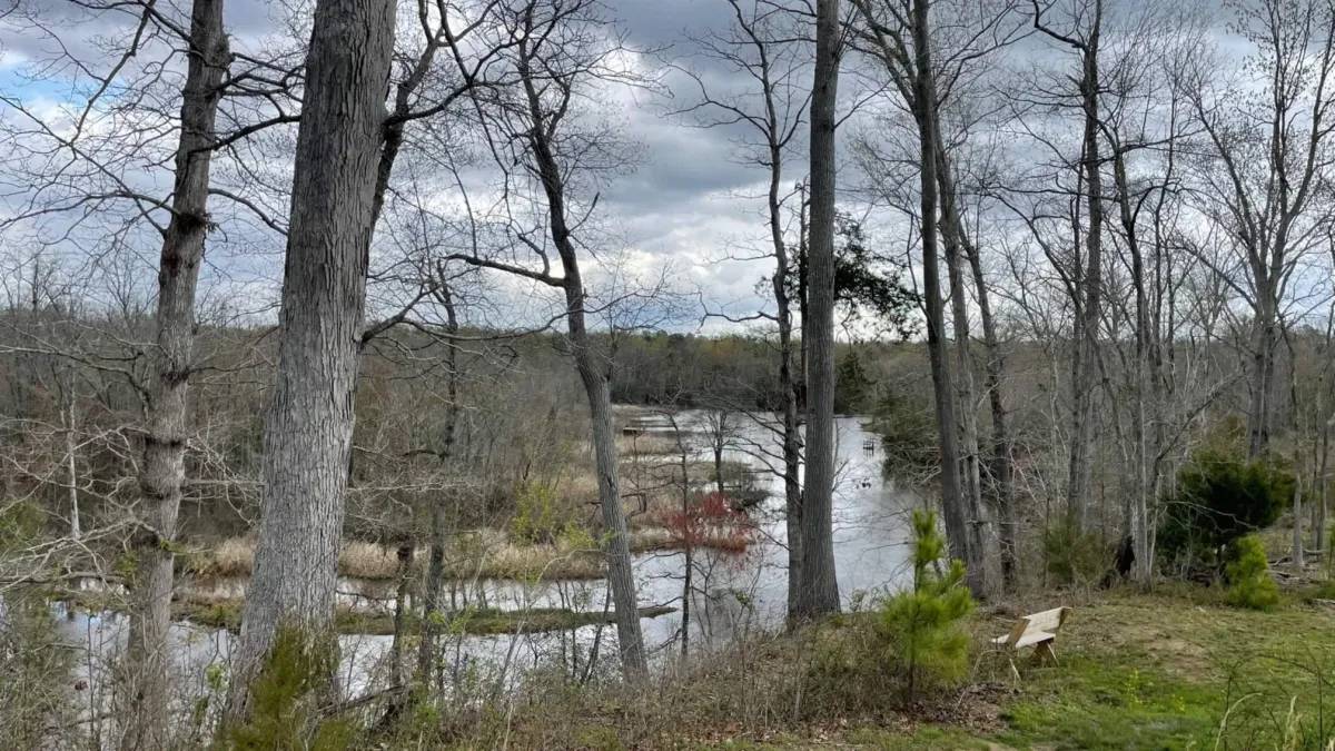 Oct 19, 10 AM ~ Varina LandLab Conservation Area at Deep Bottom