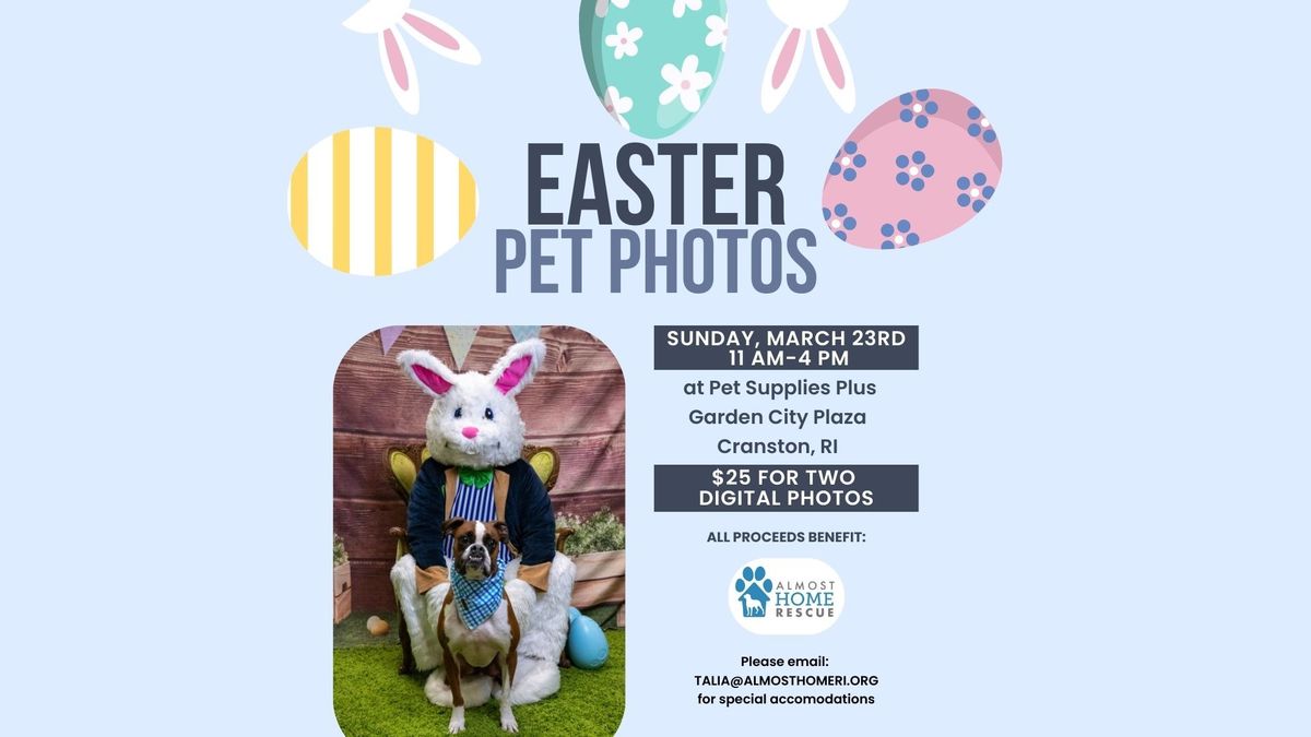 Easter Pet Photos