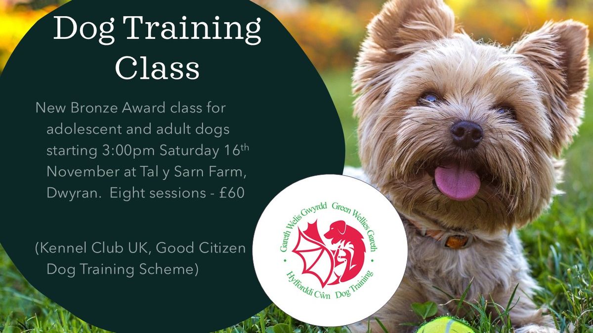 New Bronze Award class for adolescent and adult dogs