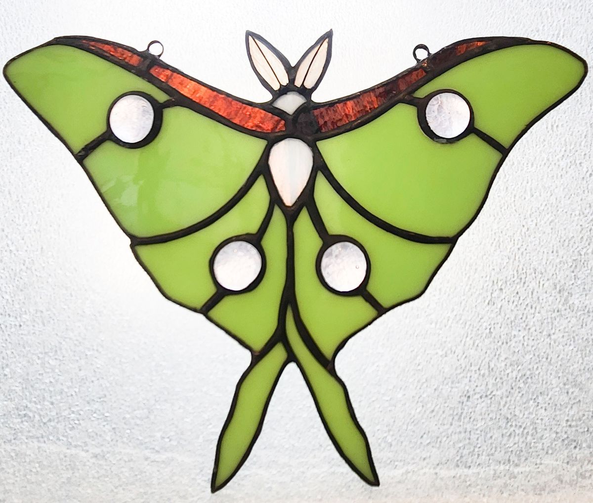 Luna Moth Glass Class