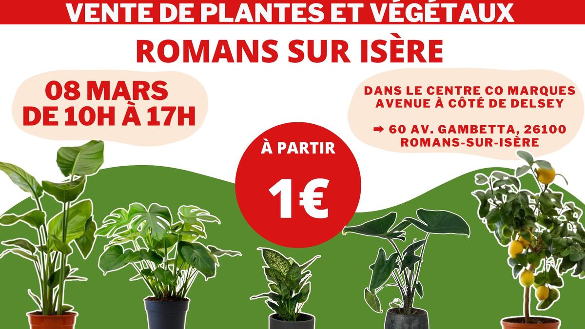 ROMANS-SUR-IS\u00c8RE - V\u00e9g\u00e9taux et Plantes \u00e0 partir de 1\u20ac by Plantes Addict