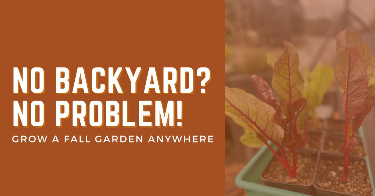 No Backyard? No Problem! Grow a Fall Garden Anywhere