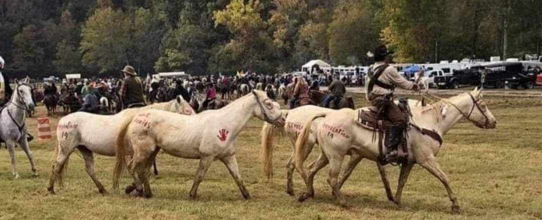 Cowboy Jeremy & His Horses teach Wrangler Church 