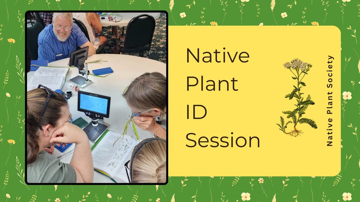 FREE Native Plant ID Sessions with Washington Native Plant Society