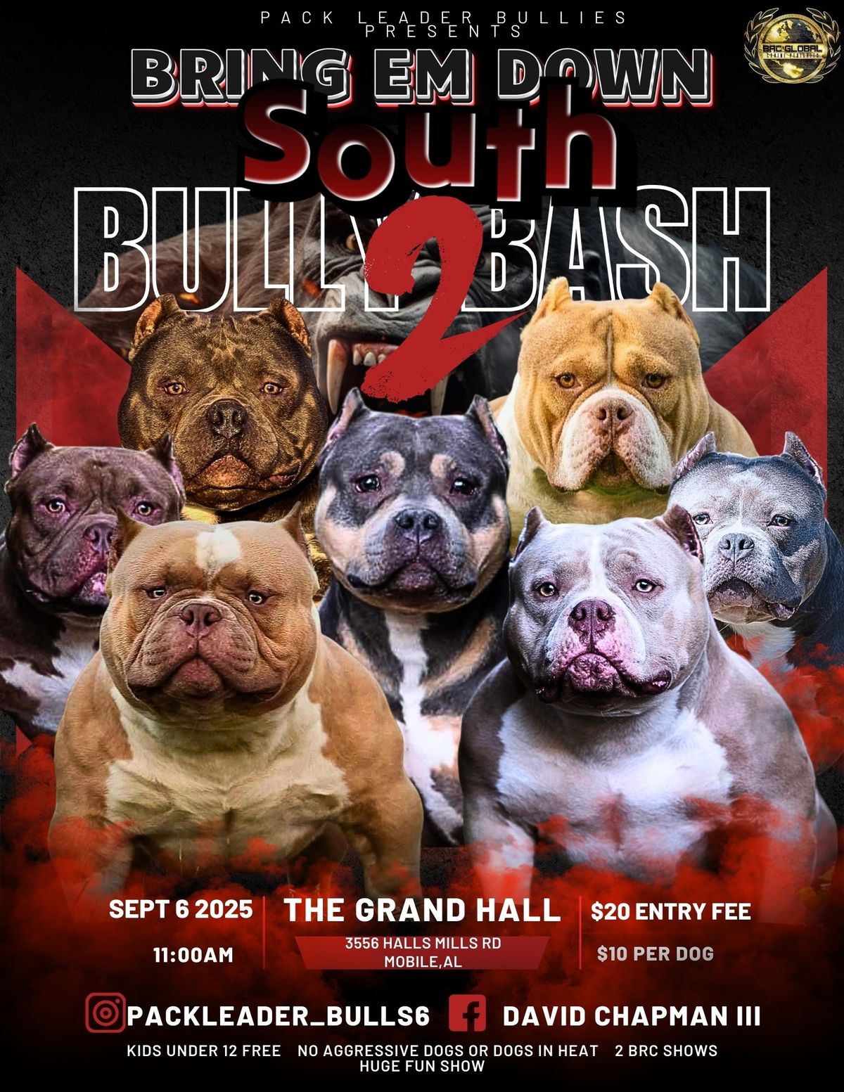 Bring Em Down South Bully Bash 2