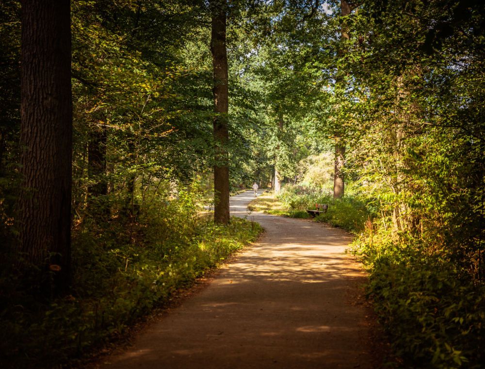 Maandelijkse landschapswandeling: Het Leen