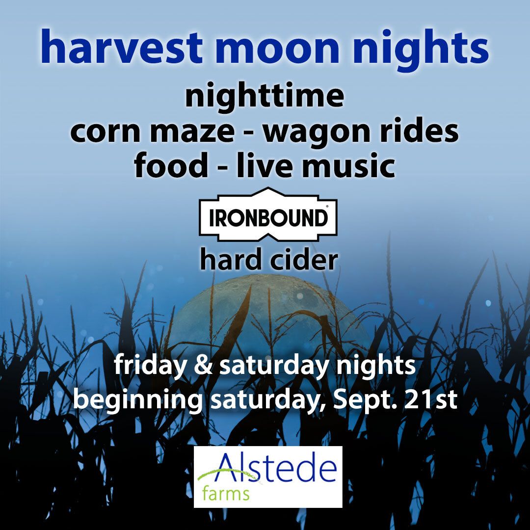 Harvest Moon Nights