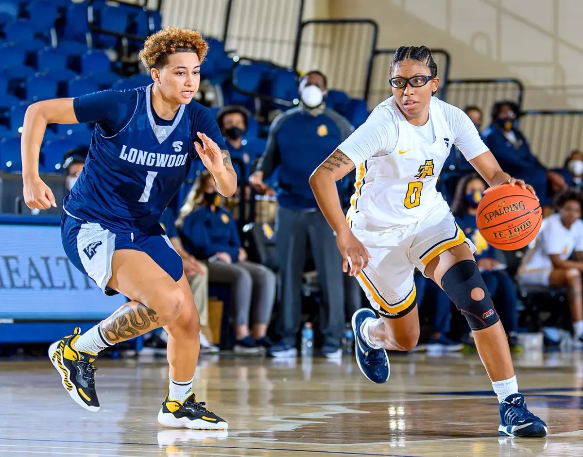 North Carolina A&T Aggies at Hampton Pirates Womens Basketball