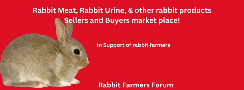 Introduction to Rabbit Farming and Marketing Basics