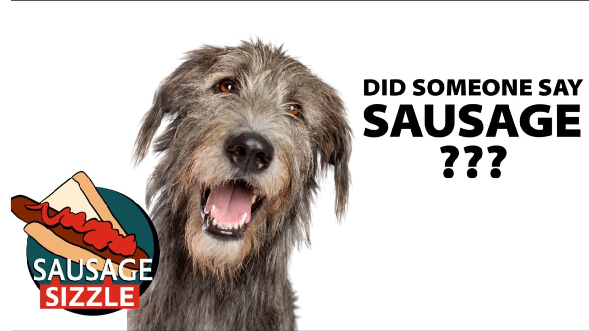 Bunnings Sausage Sizzle Fundraiser for the Irish Wolfhound Club of NSW 