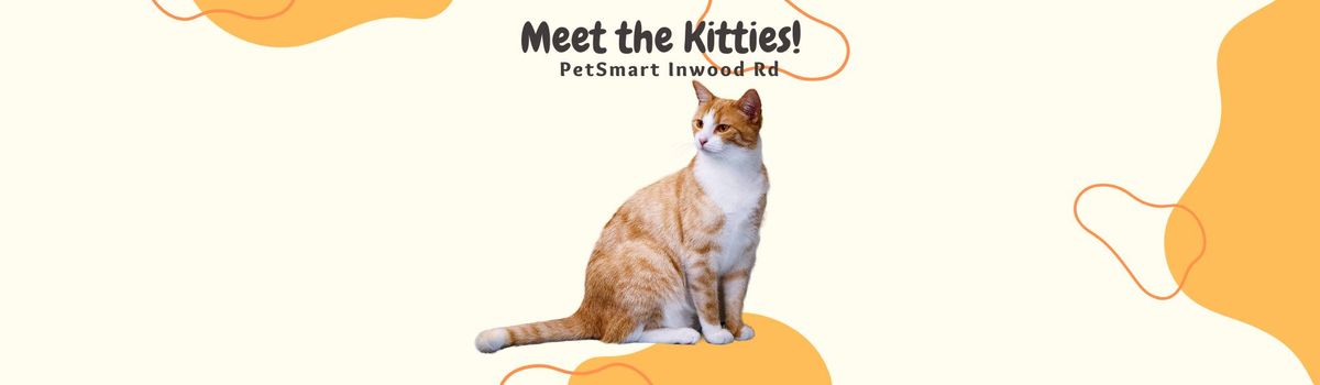 PetSmart Adoption Event - Inwood Rd