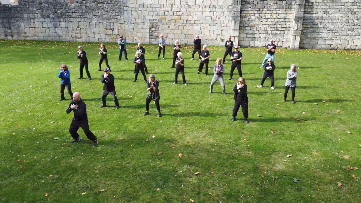 Tai Chi Full Day Workshop