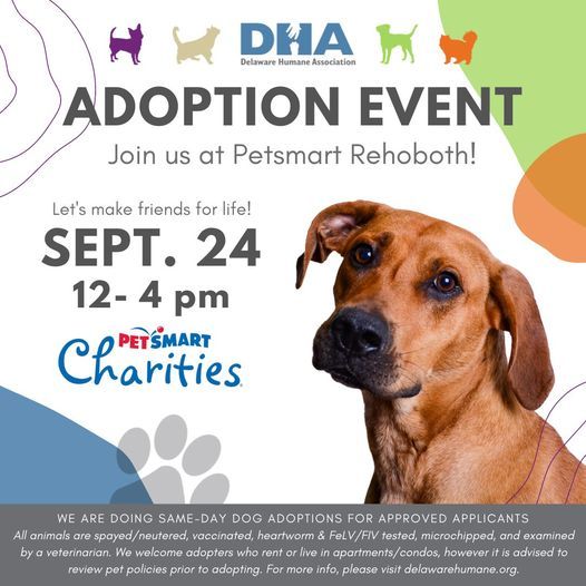 DHA Dog Adoption Event - Petsmart Rehoboth, PetSmart, Rehoboth Beach ...