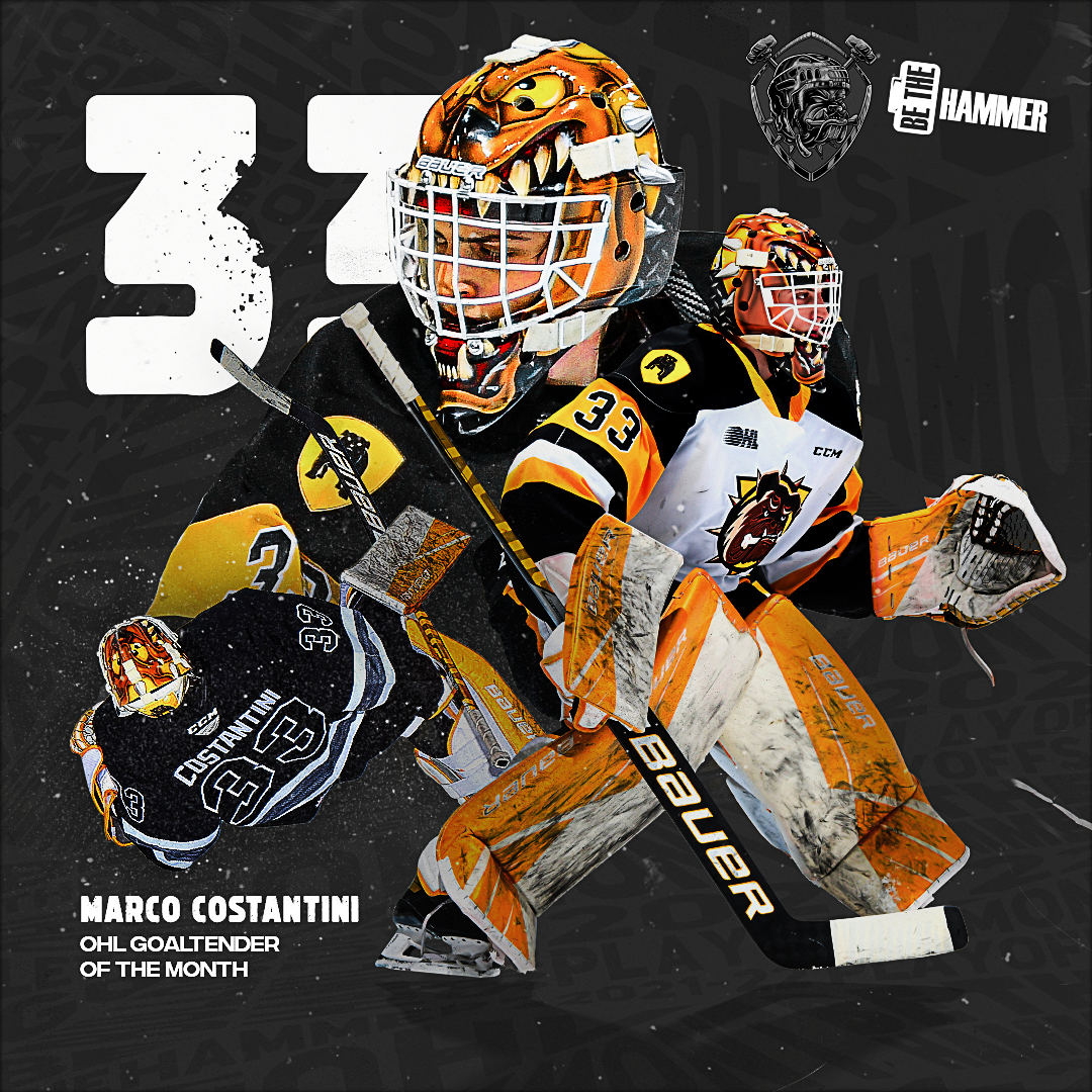 Sarnia Sting at Brantford Bulldogs at Brantford and District Civic Centre