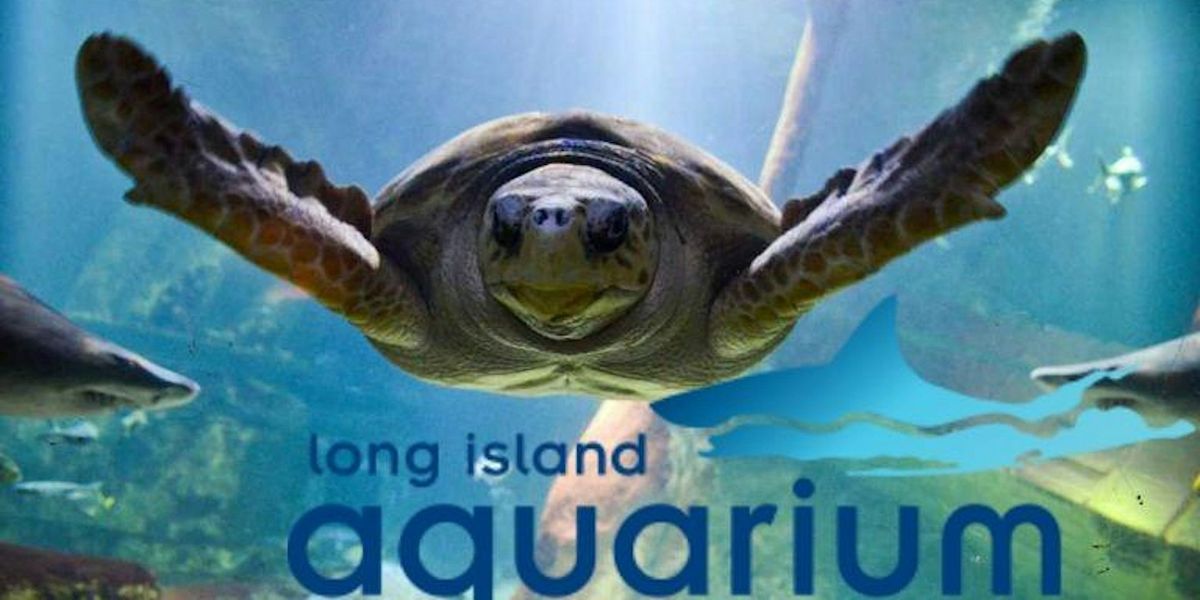 7 in Heaven Singles Events  Aquarium Visit - All Ages Riverhead