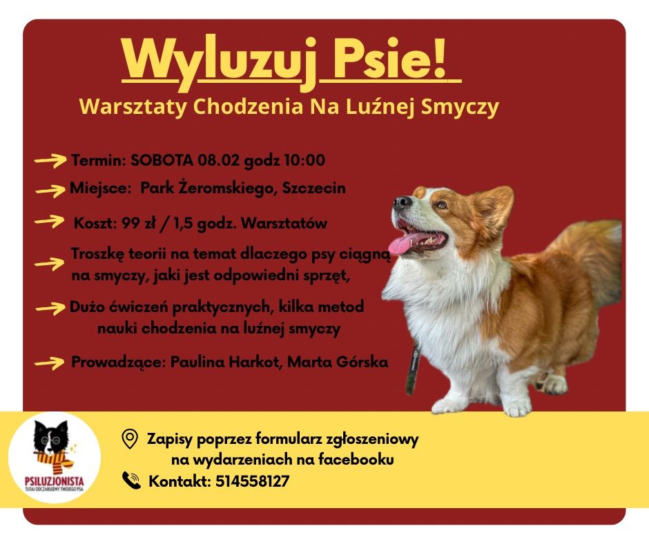 WYLUZUJ PSIE!- Warsztaty Chodzenia na Lu\u017anej Smyczy