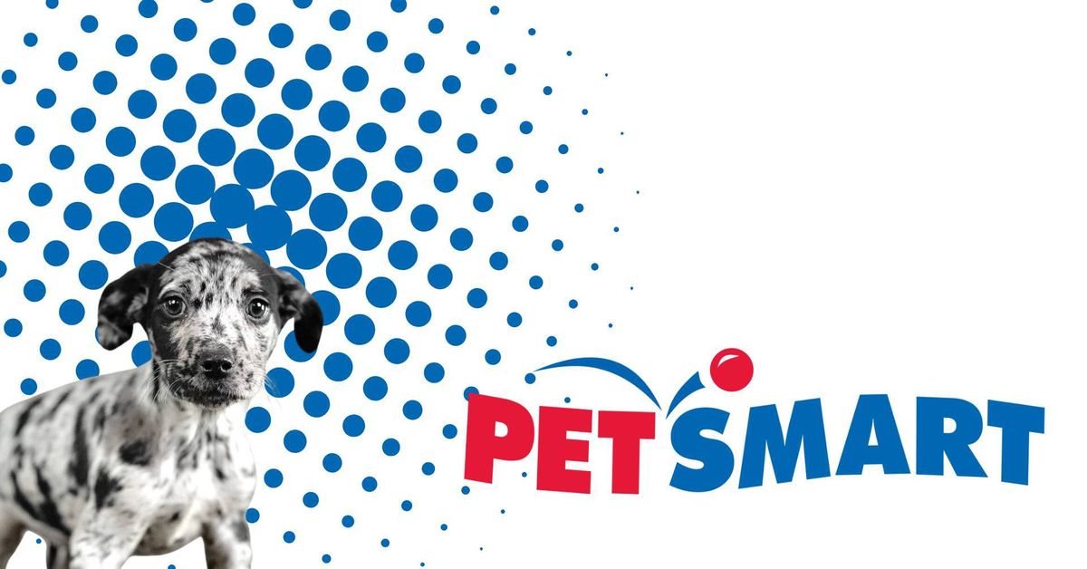 PetSmart Adoption Event at Lake Worth