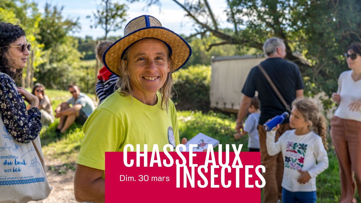 Chasse aux insectes en famille \u2605 Aix-en-Provence