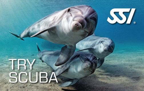 Try Scuba Diving & Discover Scuba Diving