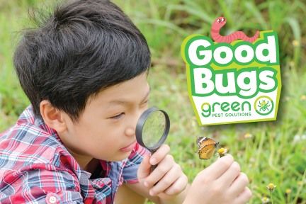 Good Bugs with Green Pest Solutions