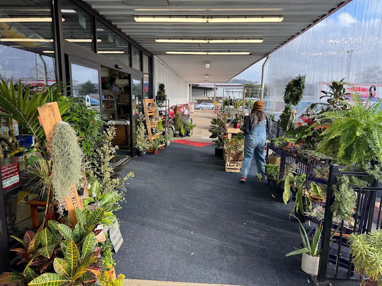 Coos Bay Plant Nursery Pop Up @ Farr's Hardware by Dragonfly Nursery | February 23rd, 12-3