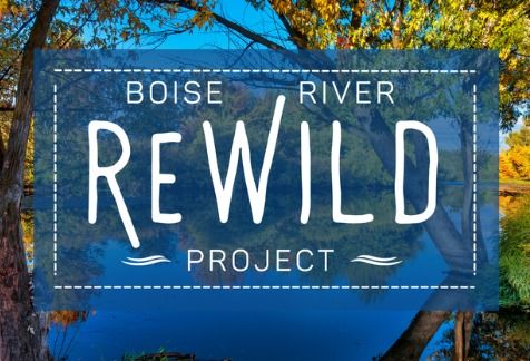 Boise River Rewilding - Work Day June 2nd