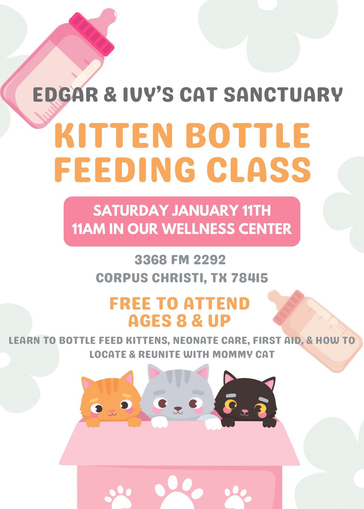 Kitten Bottle Feeding Class