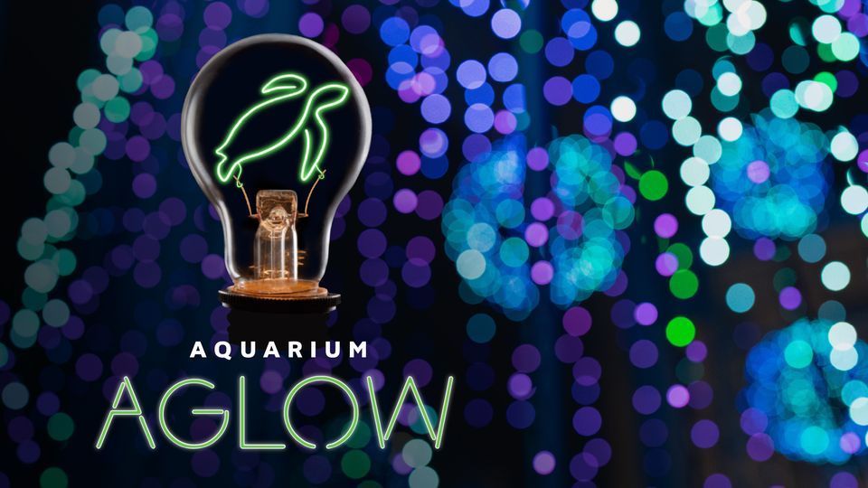 Aquarium Aglow