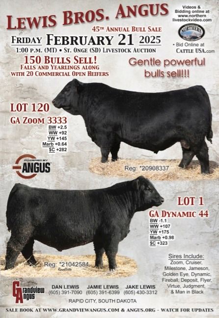 Lewis Bros. Angus 45th Annual Bull Sale