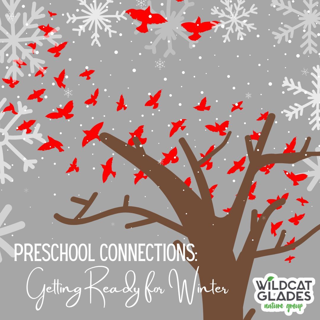 Preschool Connections: Getting Ready for Winter