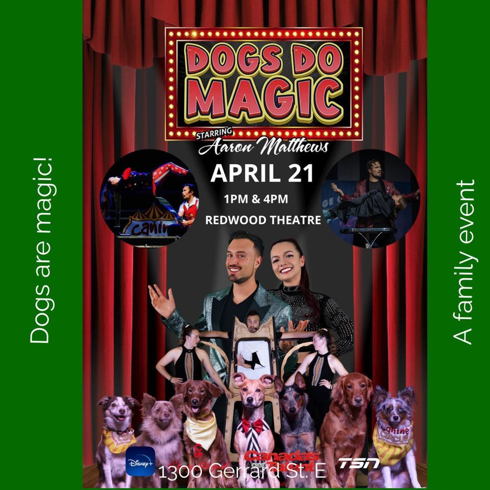 Dogs Do Magic - 4pm Show Added 