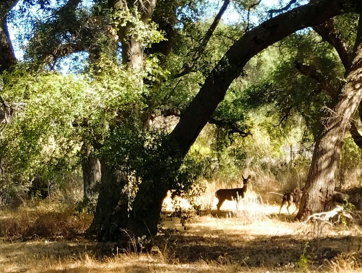 Winter Solstice & Holiday Boutique