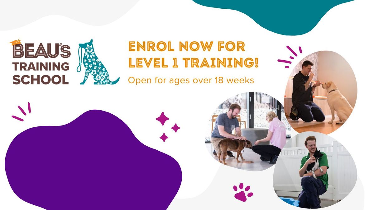 Beau's Training School: November Level 1 Class