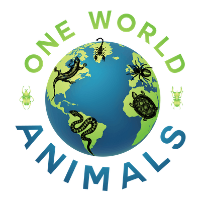 One World Animals