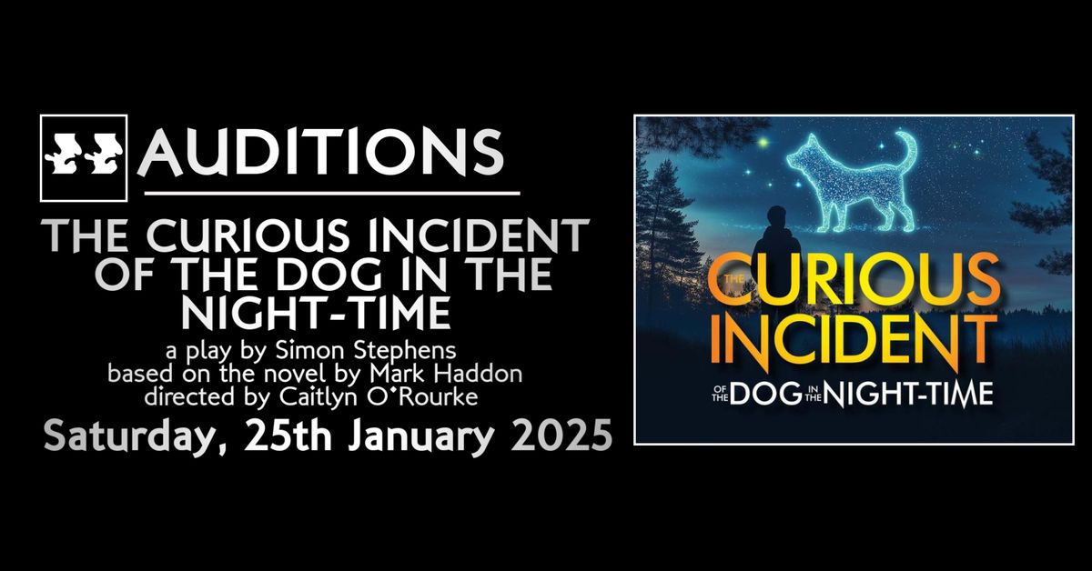 AUDITIONS - The Curious Incident of the Dog in the Night-Time