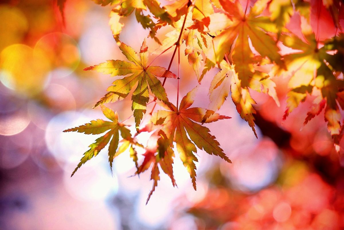 Resin jewellery making workshop - Autumn-themed