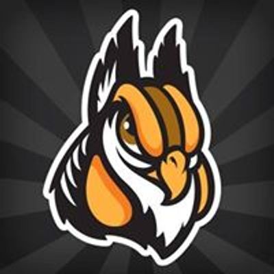 Schaumburg Boomers