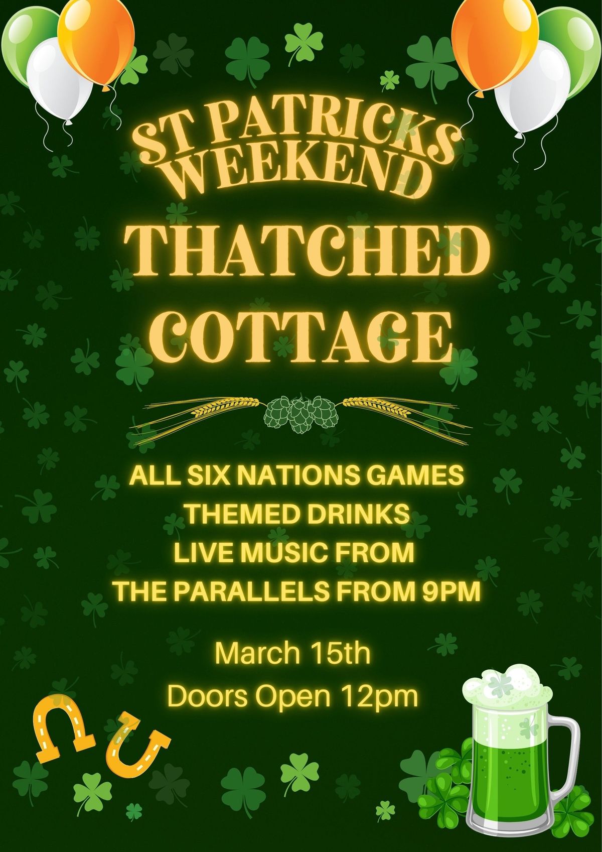 St Patrick's Day Party - Live Music Night