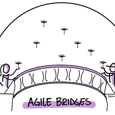 The Agile Bridges