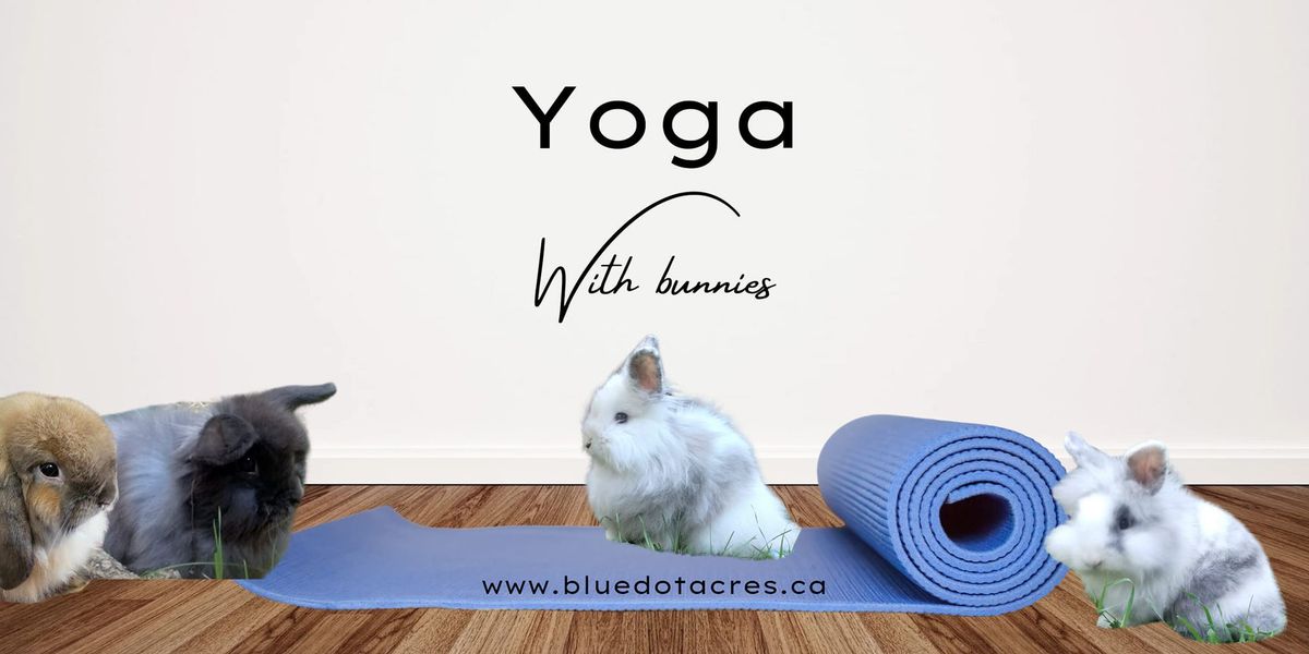 Yoga...with Bunnies 