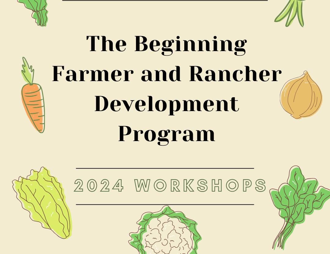 Financial Foundations for Beginner Farmers and Ranchers