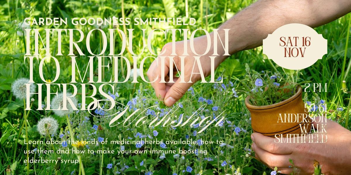 Introduction to Medicinal Herbs Workshop