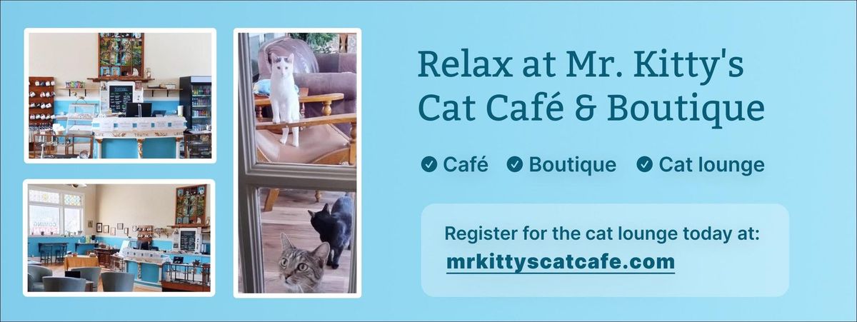 Meow & Make: Kids' Craft & Cat Time