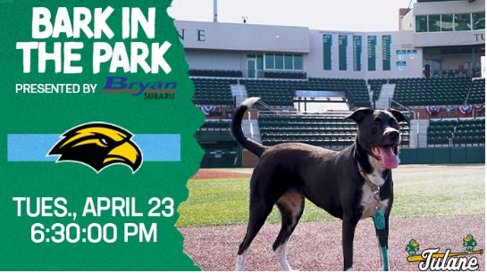 BARK IN THE PARK @ TURCHIN STADIUM!