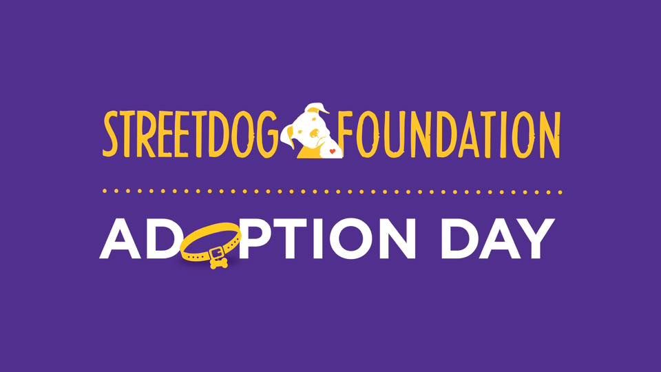 Dog Adoption Day with Streetdog Foundation