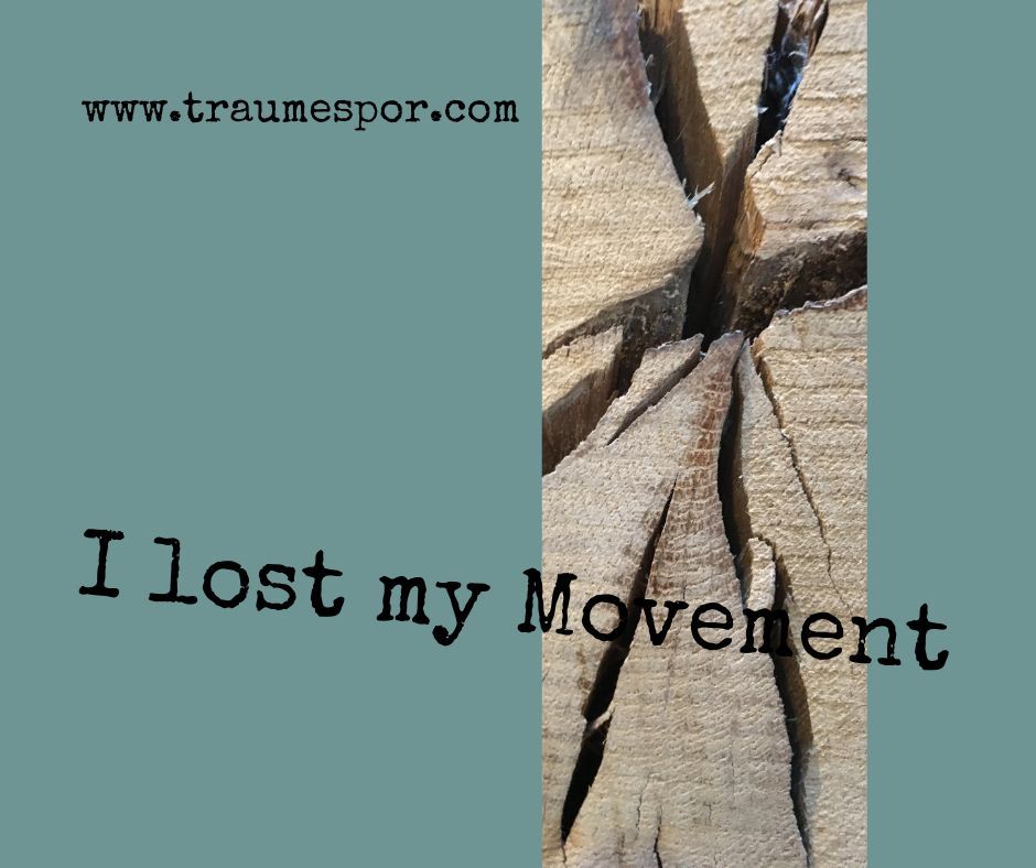 I lost my Movement - Traumer og Bev\u00e6gelse Workshop d. 10.-12. oktober 2024 - Kbh