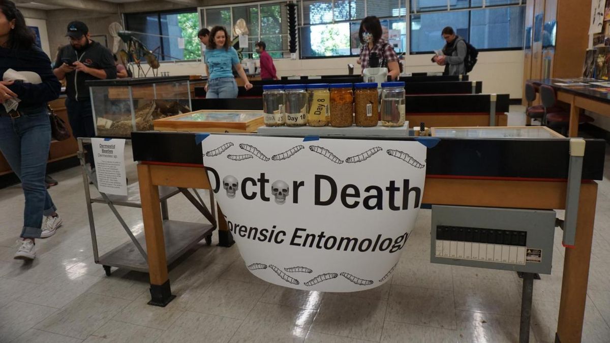 Dr. Death