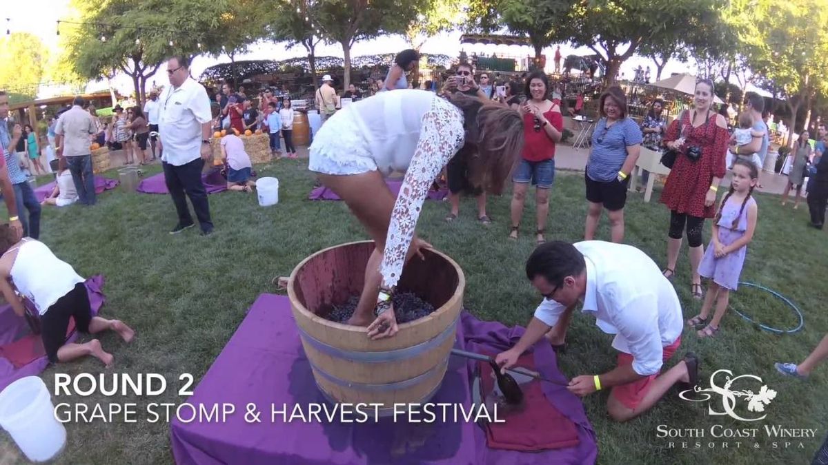 Grape Stomp Festival