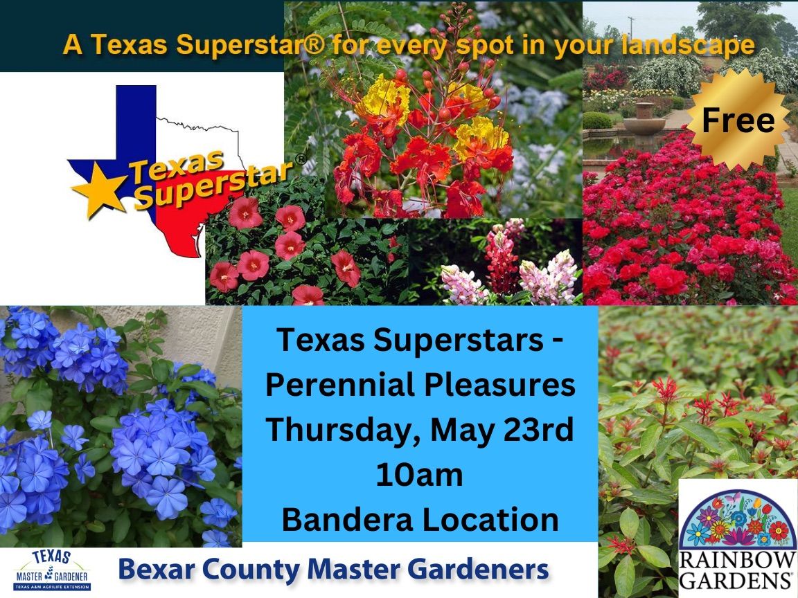 Texas Superstars \u2013 Perennial Pleasures